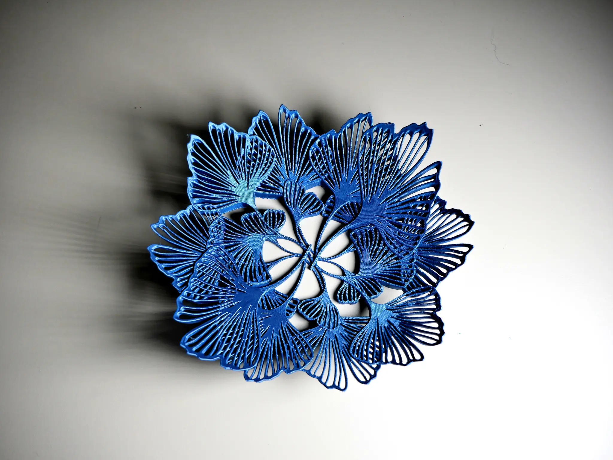 Ciotola con foglie di ginkgo blu